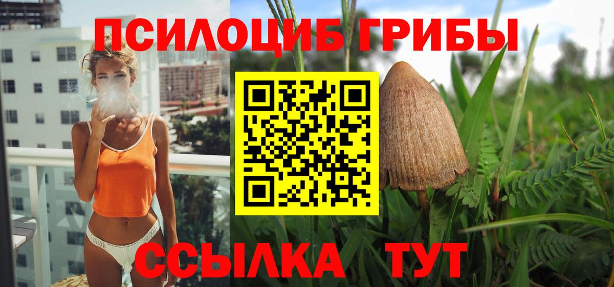 Вязьма  Псилоцибиновые грибы MAGIC MUSHROOMS  Вход с VPN 