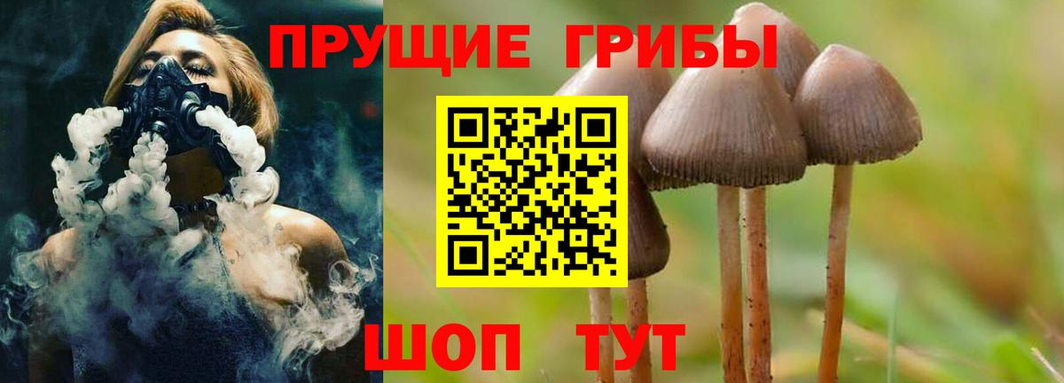 Псилоцибиновые грибы Cubensis Вязьма